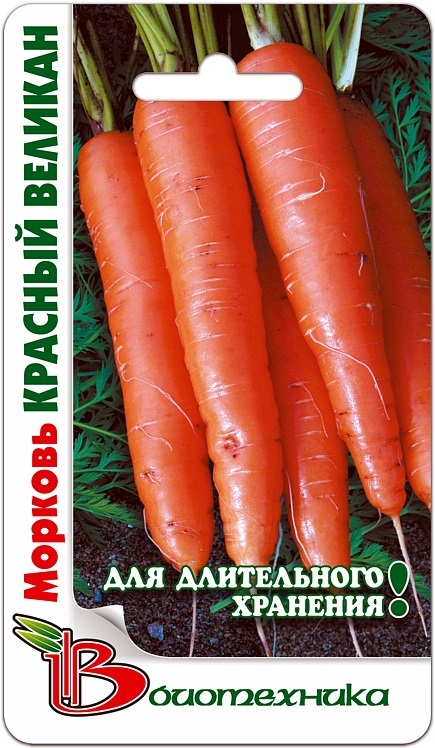 Морковь Красный великан описание сорта, фото и отзывы