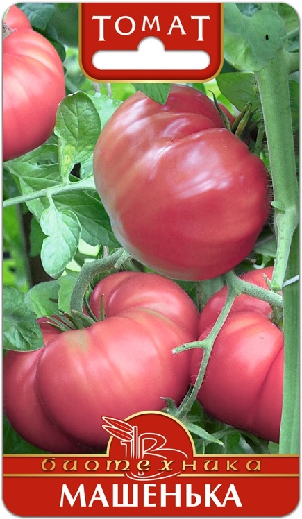 Биотехника томат семена как описать семена