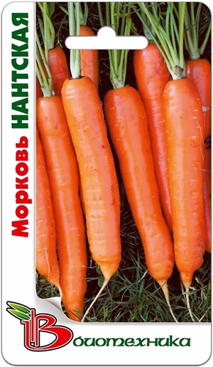 Морковь Нантская
